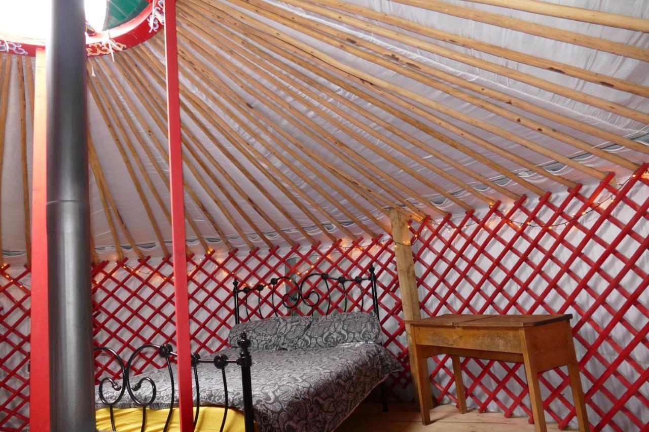 Alder Yurt Wych Elm Glamping Hotel Helston Exterior photo